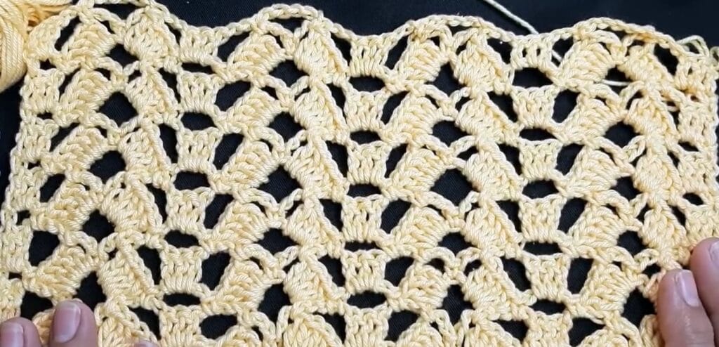 punto fantasia 02 encaje de abanicos